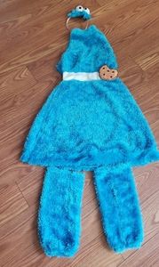 Girl cookie monster costume
